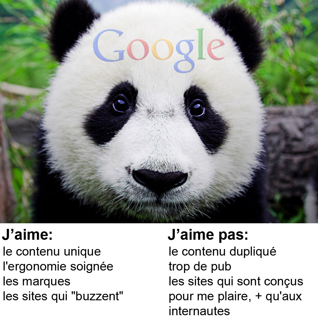 infographie google panda