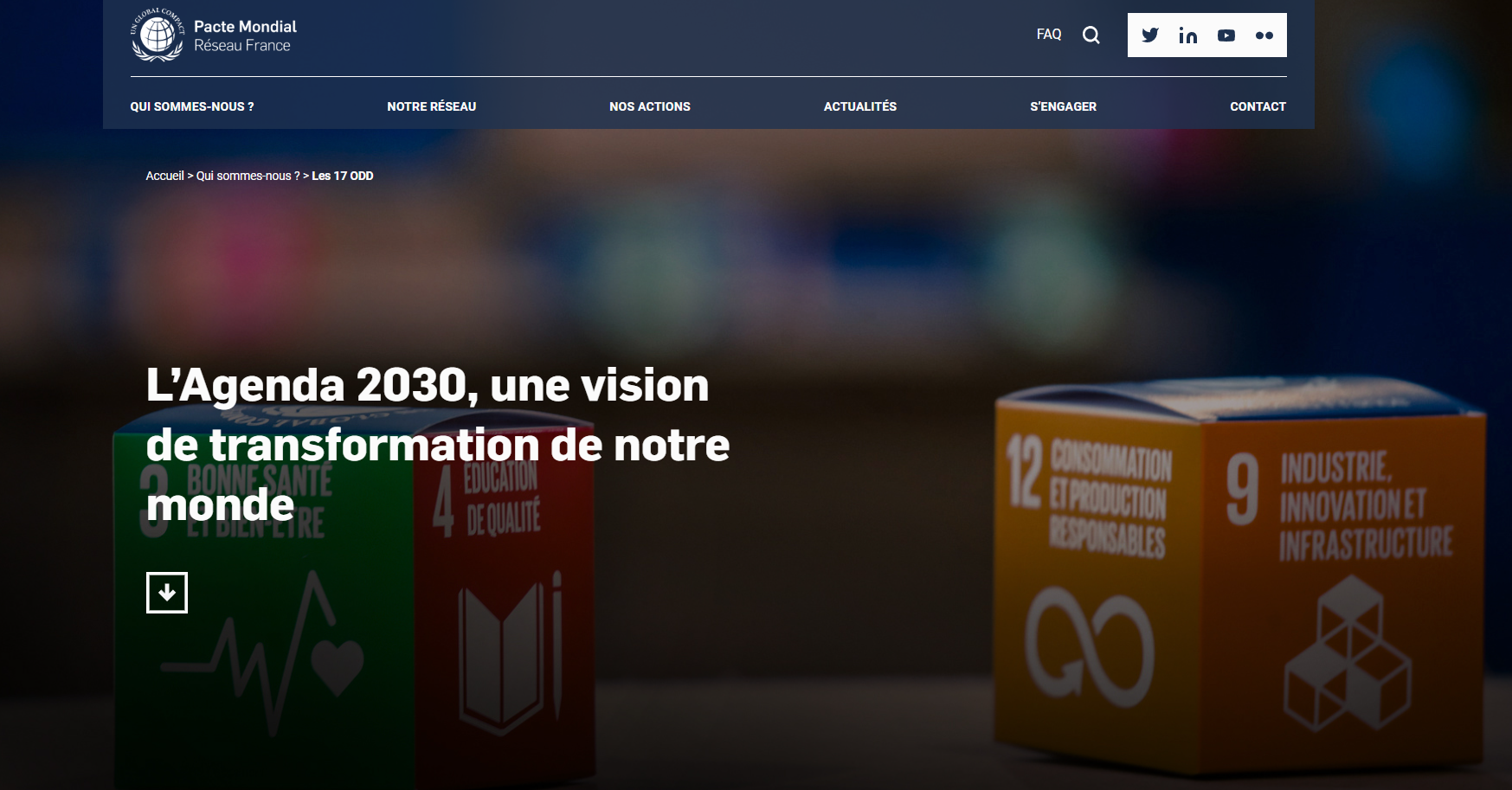 Pacte Mondial Réseau France (ONU) Site - Triplelootz